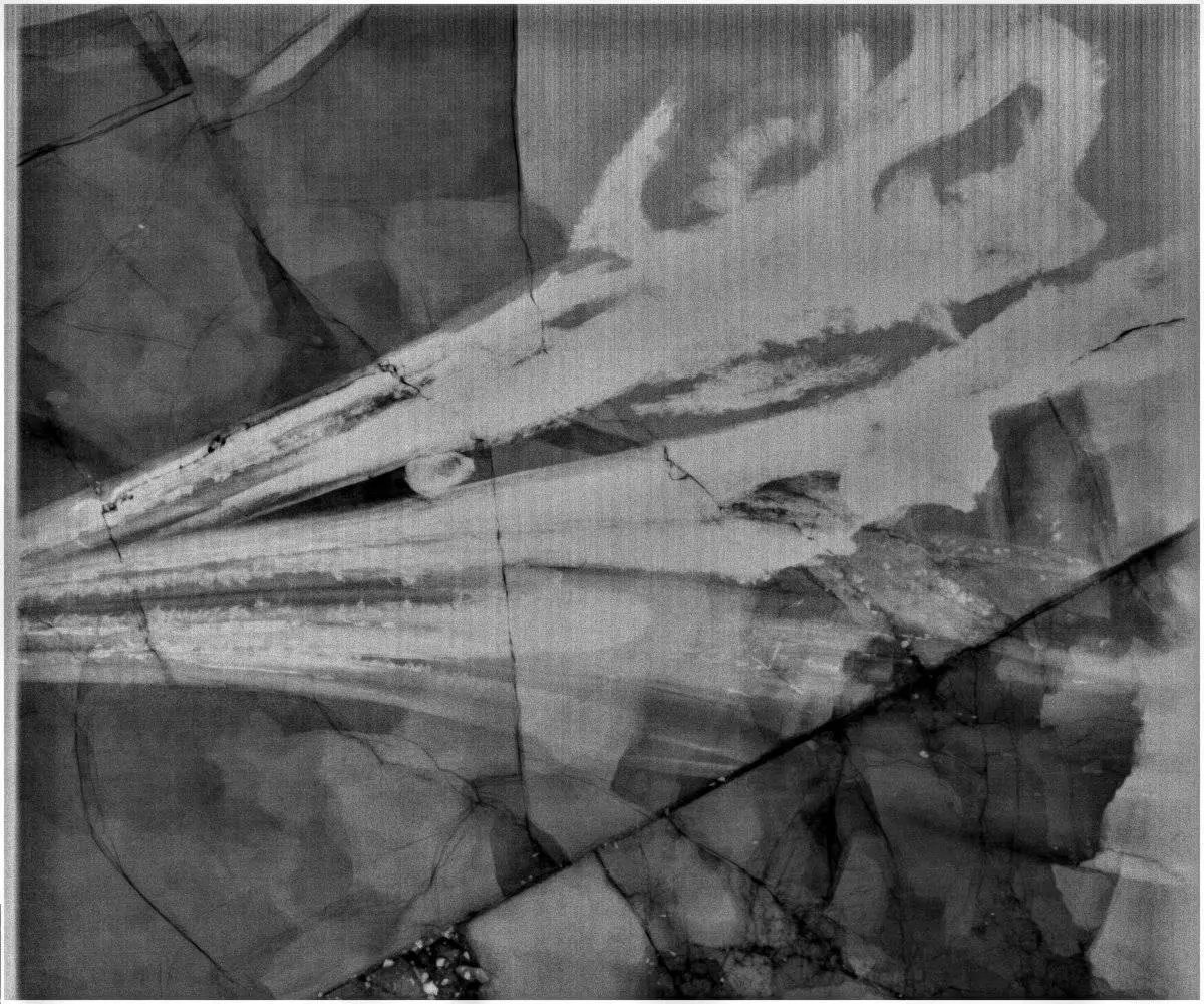 Präparation_#4-01_Ichthyosaurier_Holzmaden_01
