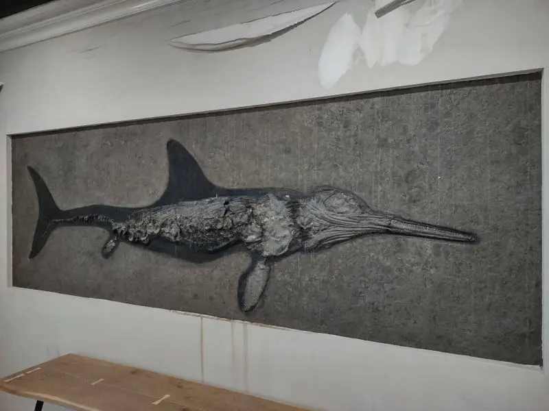 Restauration_Ichthyosaurier_Wasserschaden_Holzmaden_01