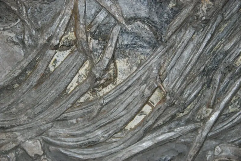 Holzmaden_Sanierung_Ichthyosaurier_02