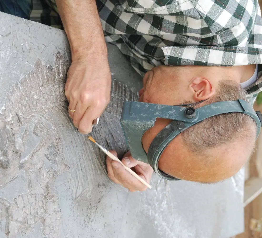 Holzmaden_Pyritzerfall_Reinigung_04b