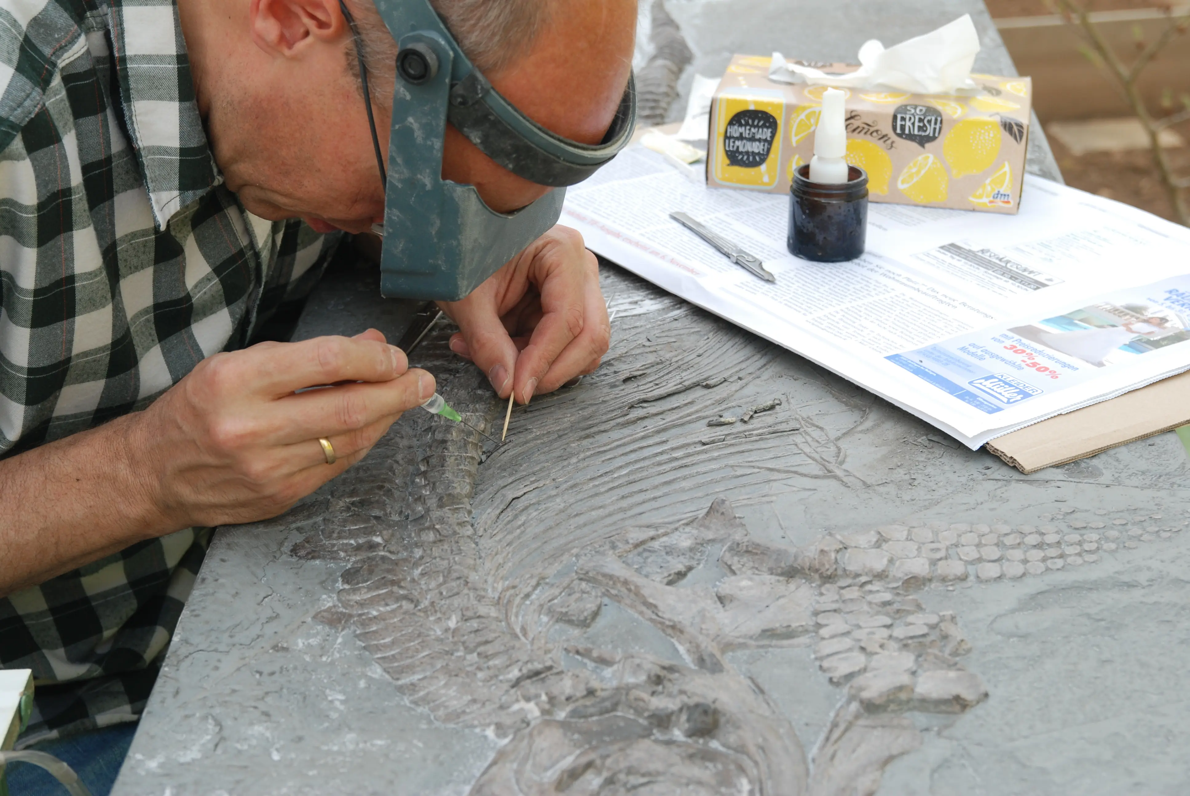 Holzmaden_Pyritzerfall_Einkleben_05a