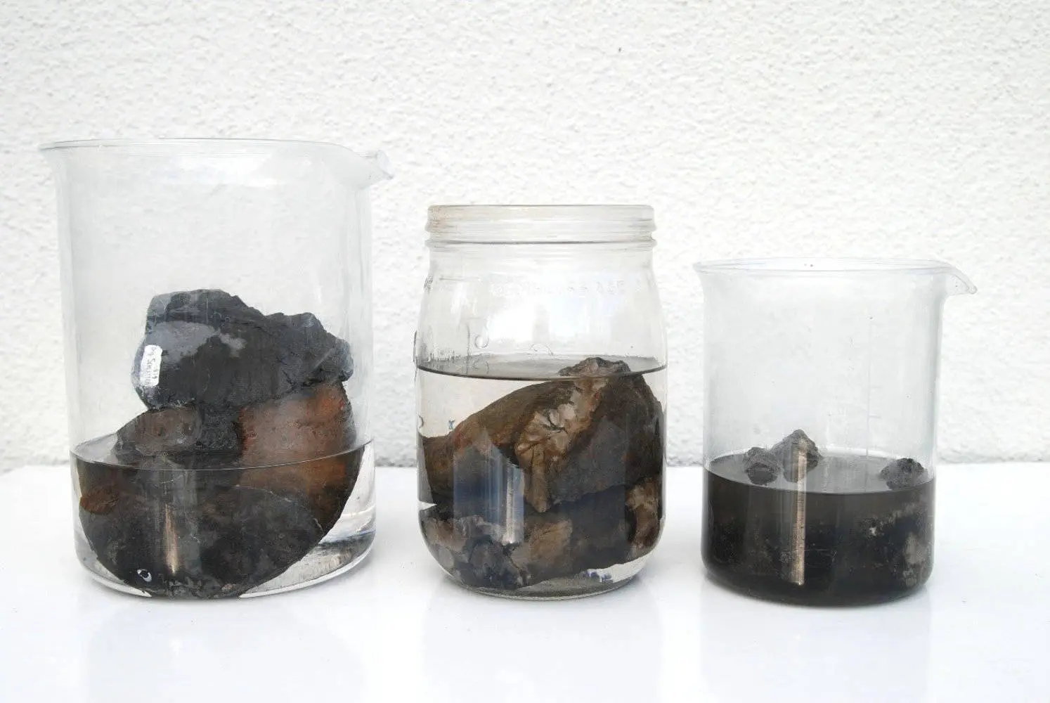 Präparation_Phylloceras_Holzmaden_06