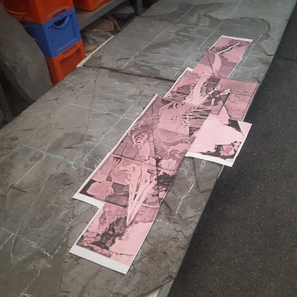 Präparation_#4-06_Ichthyosaurier_Holzmaden_01