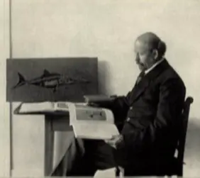 Holzmaden_Hauff_Ichthyosaurier