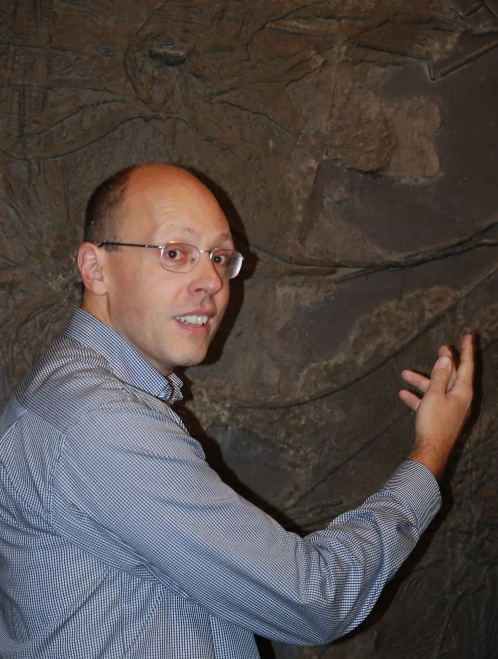 Fossilien Ankauf: Kontakt