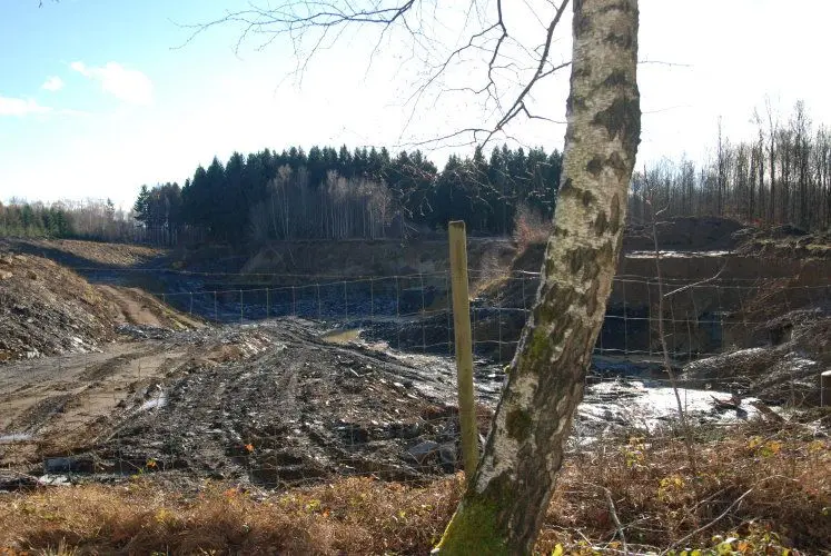 Holzmaden_Bruch_Fischer