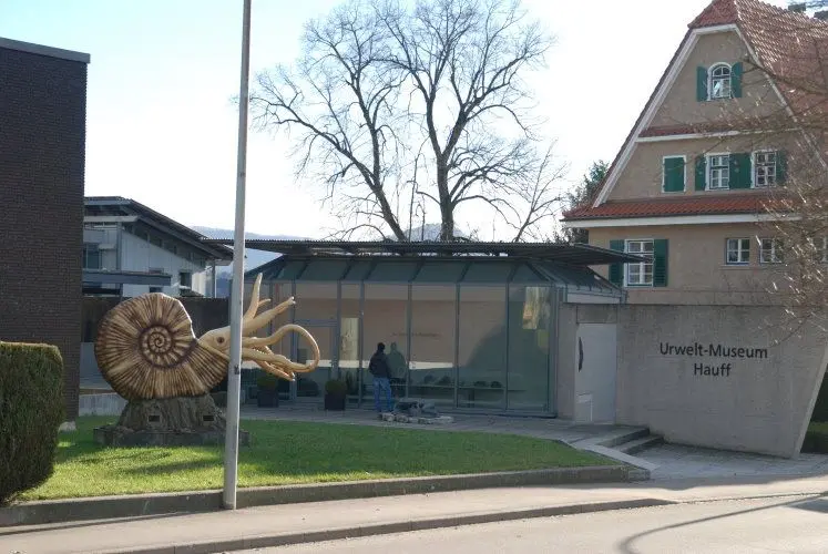 Holzmaden_Museum_Hauff_1