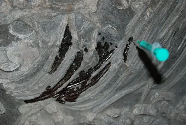 Holzmaden_Pyrit_Sanierung_Tiefenimprägnation_06