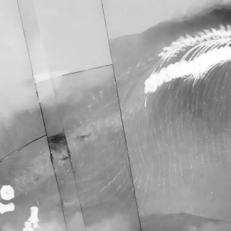 Präparation_#1_Ichthyosaurier_Holzmaden_04