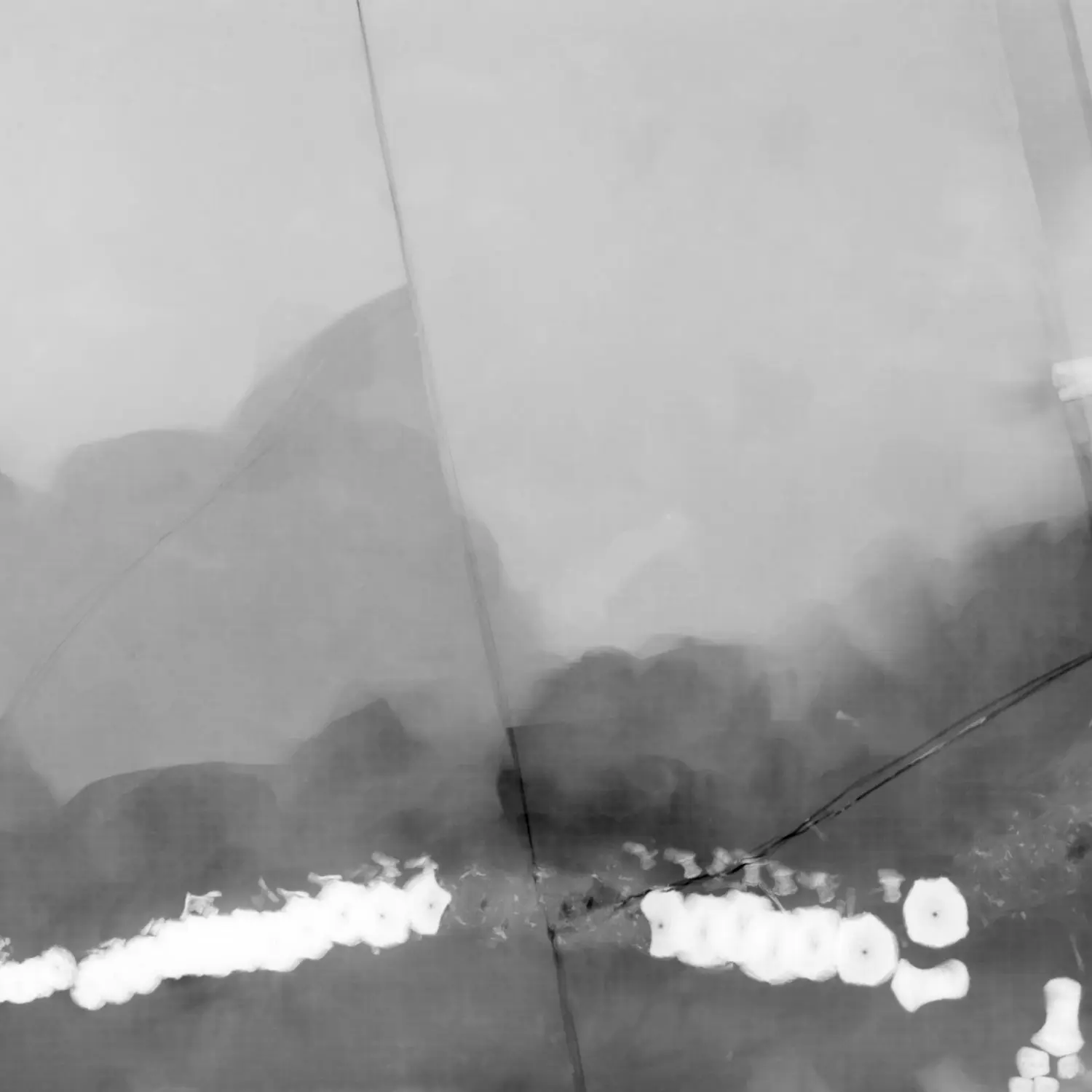 Präparation_#1_Ichthyosaurier_Holzmaden_05