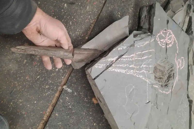 Präparation_#2_Ichthyosaurier_Holzmaden_03