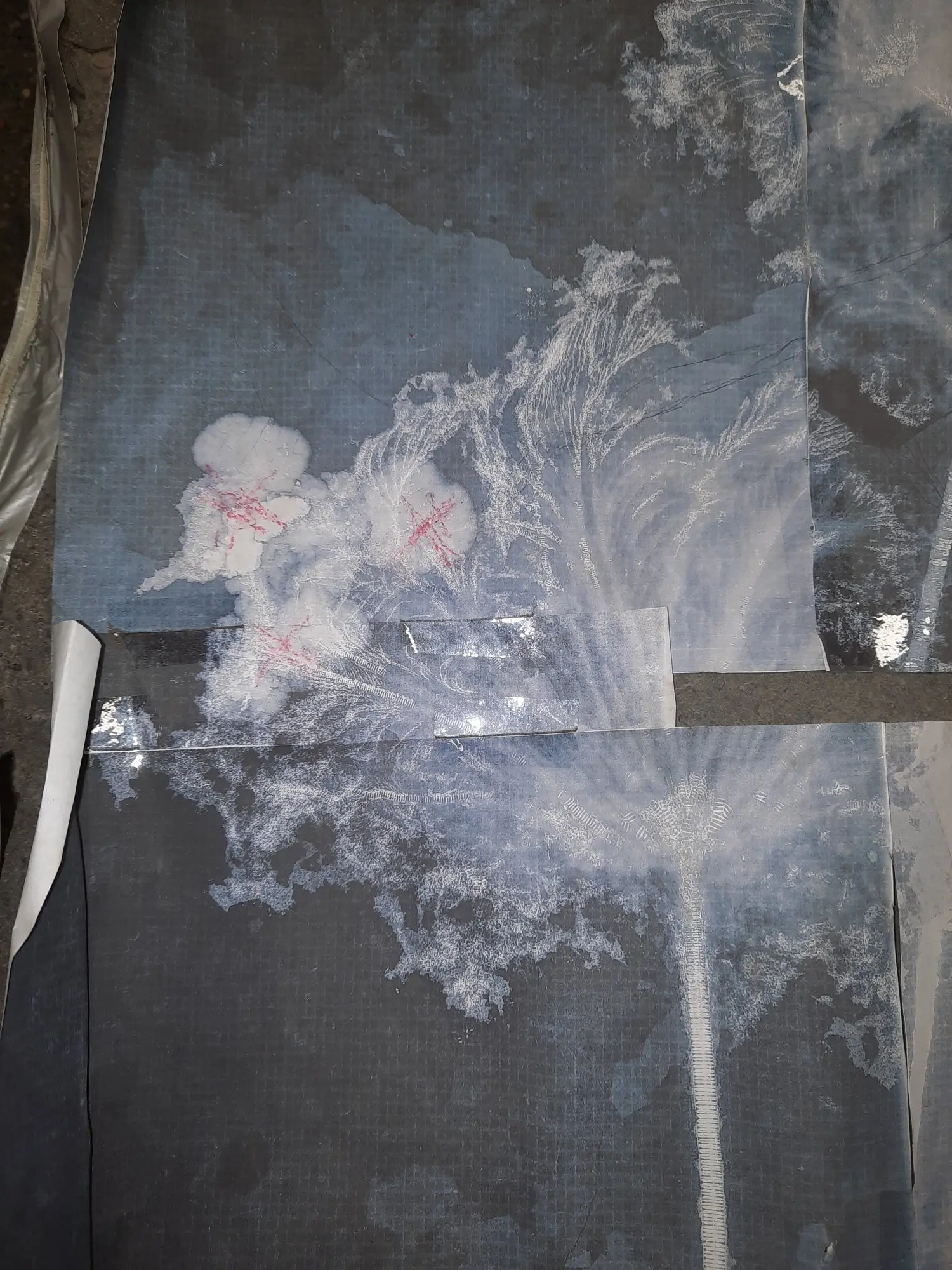 Präparation_#3_Seirocrinus_Holzmaden_04