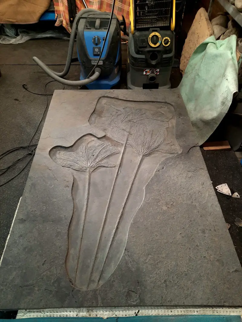 Präparation_#3_Seirocrinus_Holzmaden_09